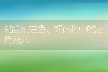 粘合剂在鱼、虾饲料中的应用技术