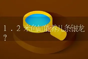 1.2米鱼缸能养几条银龙？