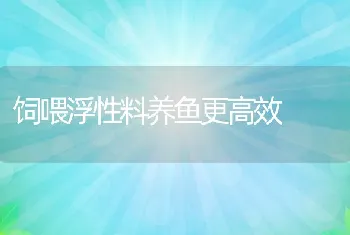 饲喂浮性料养鱼更高效