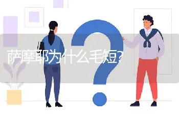 萨摩耶为什么毛短？