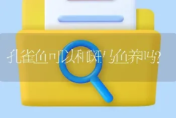 孔雀鱼可以和斑马鱼养吗？