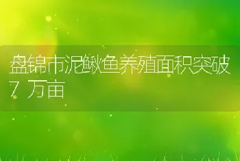 盘锦市泥鳅鱼养殖面积突破7万亩