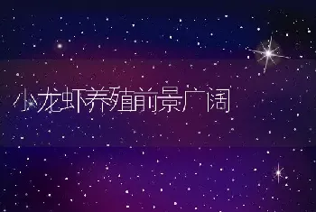 小龙虾养殖前景广阔