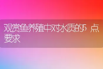 观赏鱼养殖中对水质的5点要求