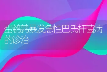 蛋鹌鹑暴发急性巴氏杆菌病的诊治