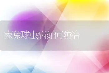 家兔球虫病如何防治