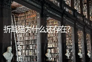 折耳猫为什么还存在？