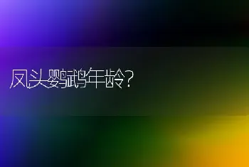 凤头鹦鹉年龄？