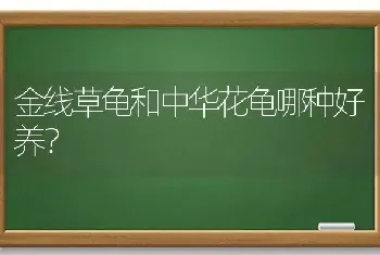 金线草龟和中华花龟哪种好养？