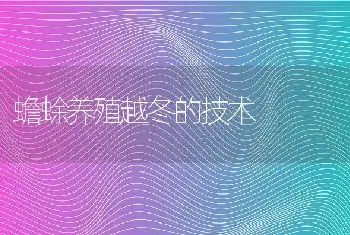 蟾蜍养殖越冬的技术