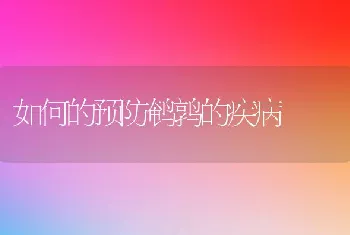 如何的预防鹌鹑的疾病