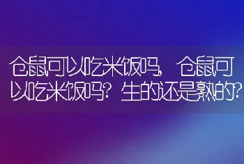 仓鼠可以吃米饭吗，仓鼠可以吃米饭吗？生的还是熟的？