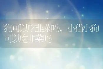 狗可以吃韭菜吗，小猫小狗可以吃韭菜吗