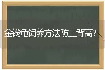 金钱龟饲养方法防止背高？