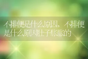 不排便是什么原因，不排便是什么原因肚子胀胀的