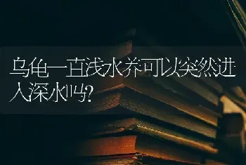 乌龟一直浅水养可以突然进入深水吗？