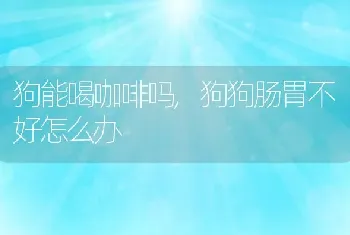 狗能喝咖啡吗，狗狗肠胃不好怎么办