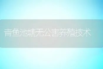 青鱼池塘无公害养殖技术