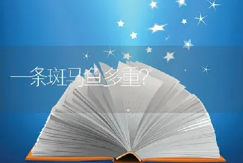 一条斑马鱼多重？