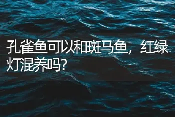 孔雀鱼可以和斑马鱼，红绿灯混养吗？