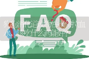 狗狗消化道硬物性损伤拉血水，该吃什么药能好？