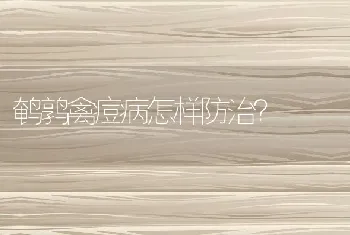 鹌鹑禽痘病怎样防治？