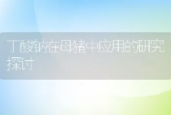 丁酸钠在母猪中应用的研究探讨