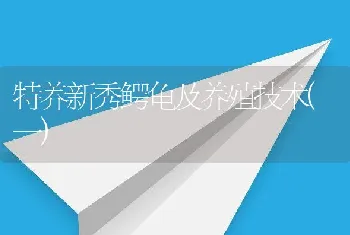 特养新秀鳄龟及养殖技术(一)