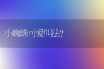 小蜘蛛可爱叫法？