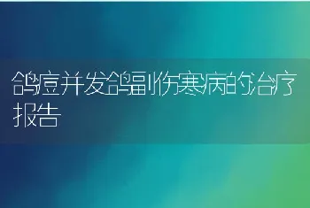 鸽痘并发鸽副伤寒病的治疗报告