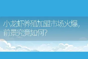 小龙虾养殖加盟市场火爆，前景究竟如何？