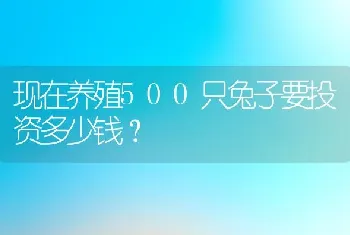 现在养殖500只兔子要投资多少钱？