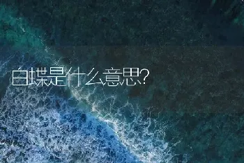 白蝶是什么意思？