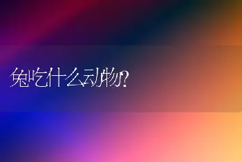 兔吃什么动物？