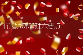 仔蝎饲养管理六要点