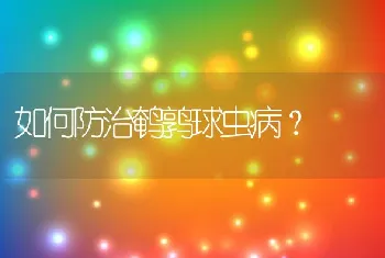 如何防治鹌鹑球虫病？