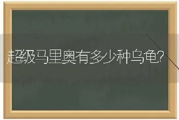 超级马里奥有多少种乌龟？