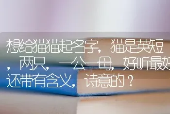 母法斗生产注意事项？