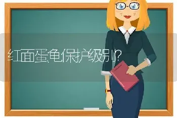 红面蛋龟保护级别？