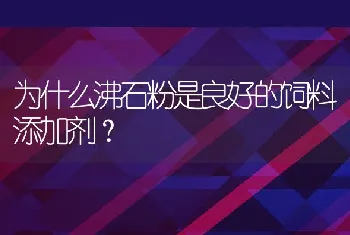 为什么沸石粉是良好的饲料添加剂？