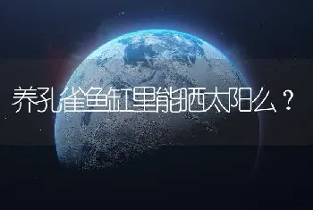 今天早上我家的招财鱼死了一条~大家看看是什么原因？