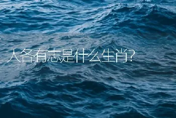 人各有志是什么生肖？