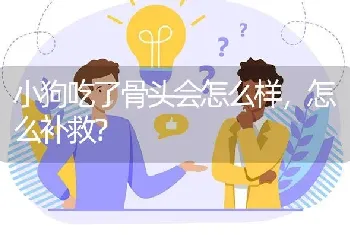 小狗吃了骨头会怎么样，怎么补救？