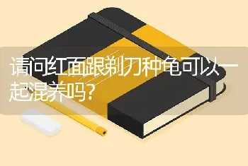 请问红面跟剃刀种龟可以一起混养吗？