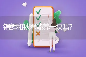 锦鲤和秋翠能养一块吗？