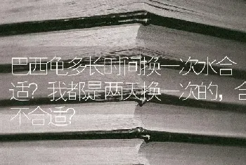 巴西龟多长时间换一次水合适？我都是两天换一次的，合不合适？