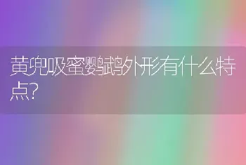 太平鸟公司的待遇和发展前途到底是怎么样？