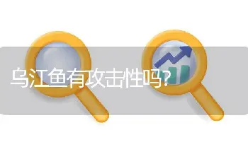 乌江鱼有攻击性吗？