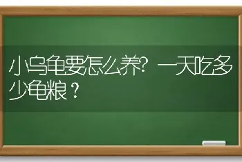 小乌龟要怎么养?一天吃多少龟粮？