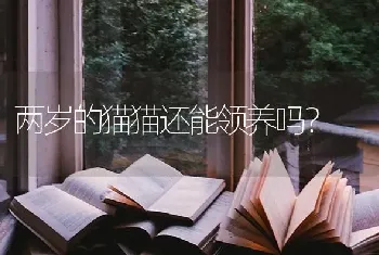 小狗出生后多久可以看清东西？